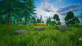 My Money Grows On Trees