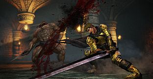 BERSERK - Exclusive Costumes