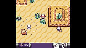 Toni Island Adventure