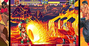 WORLD HEROES PERFECT
