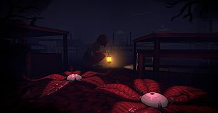 Narin: The Orange Room