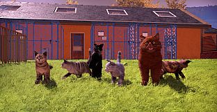 Animal Shelter 2 - Fluffy Cats Pack