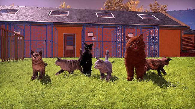 Animal Shelter 2 - Fluffy Cats Pack