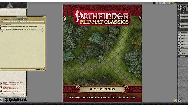 Fantasy Grounds - Pathfinder RPG - Pathfinder Flip-Mat - Classic Woodlands