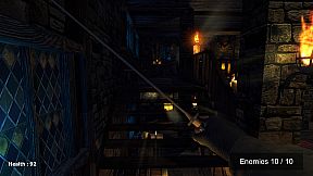 Paladin Duty - Knights and Blades