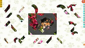 Puzzle Escapes: Paws & Claws