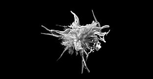 Project C██████