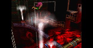 Tomba! 2: The Evil Swine Return Special Edition