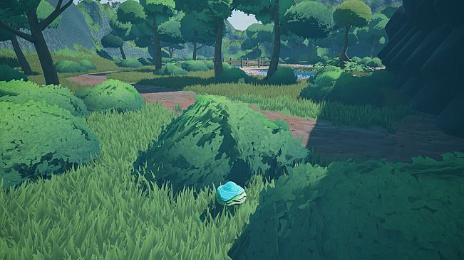 Mushroom Collector