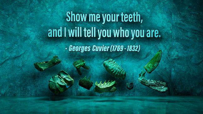 SHADOWBOX: Mausoleum of Natural History