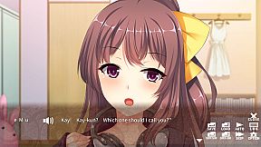 猟奇リスナー ～ 狙われた姫配信者 ～ Lunatic Viewer - Streamer Girl at Risk -