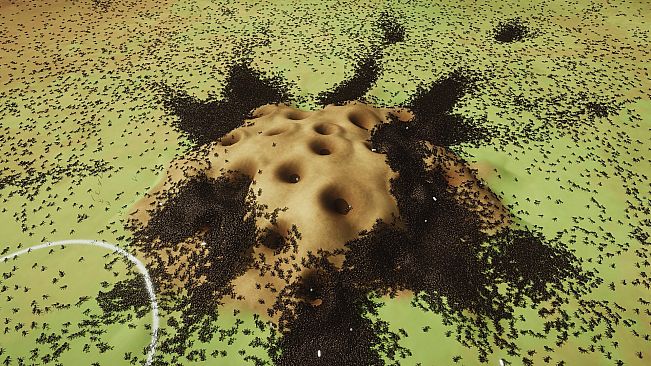 Ant Mill Inc