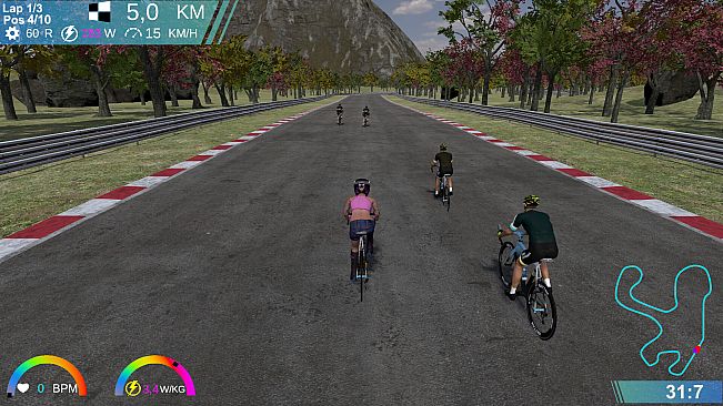 CyclingArcadeRaceSimulator