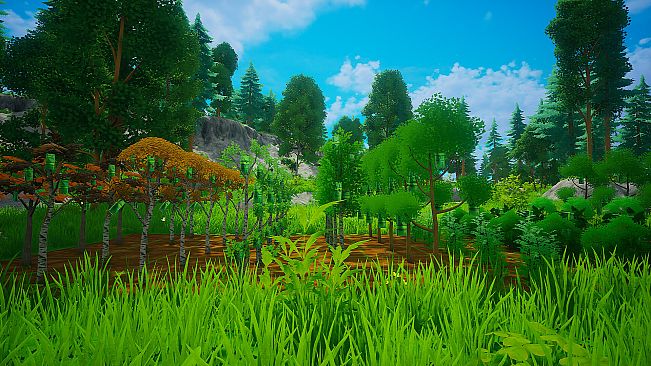 My Money Grows On Trees