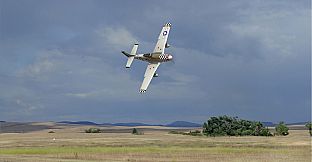RealFlight Evolution - E-flite P-51D Mustang 1.5m Big Beautiful Doll