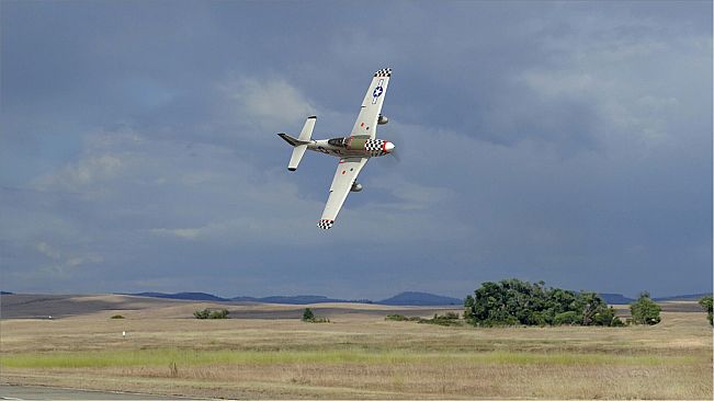 RealFlight Evolution - E-flite P-51D Mustang 1.5m Big Beautiful Doll