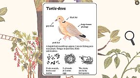 Little Mouse's Encyclopedia