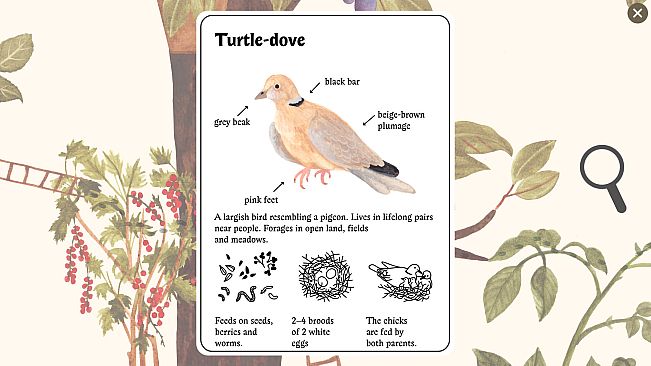 Little Mouse's Encyclopedia