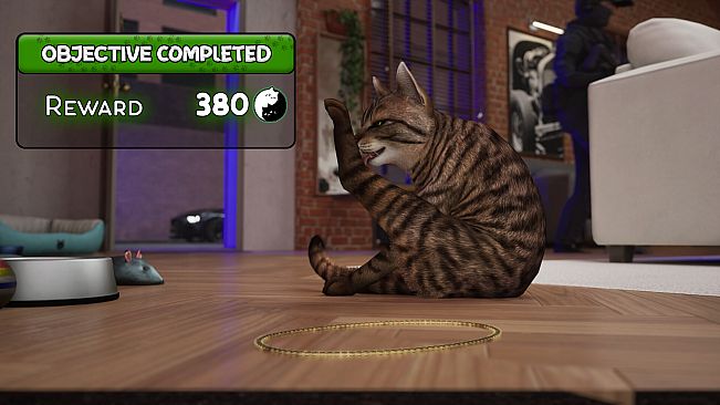 Cat Life Simulator