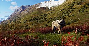 Way of the Hunter - Aurora Shores