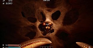 Dig Baby Dig Company