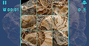 Puzzle Fossils