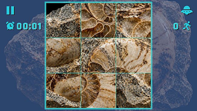 Puzzle Fossils