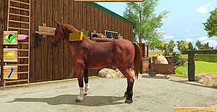 My Little Riding Champion