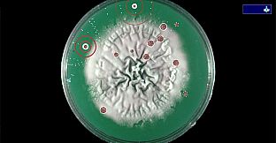Coronavirus - Nano Force