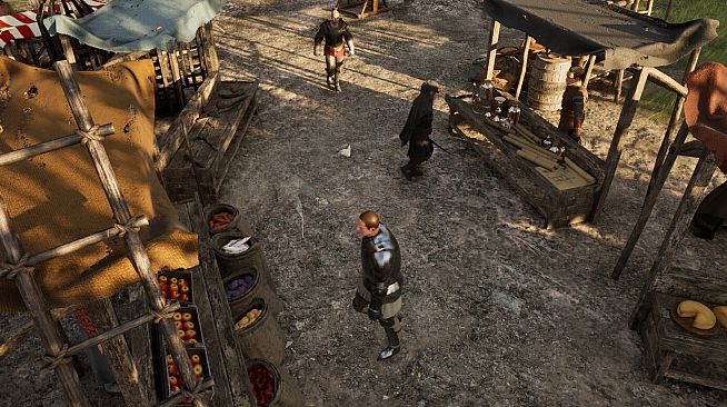 Medieval Life: Chronicles Of Annora