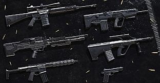 Insurgency: Sandstorm - Livewire Set Bundle