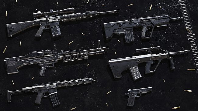 Insurgency: Sandstorm - Livewire Set Bundle