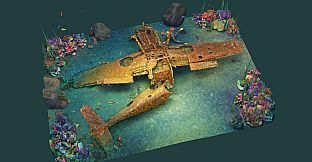 Puzzling Places - Summer Dive