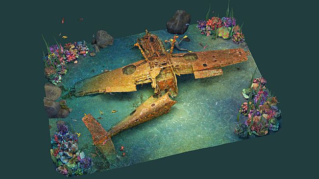 Puzzling Places - Summer Dive