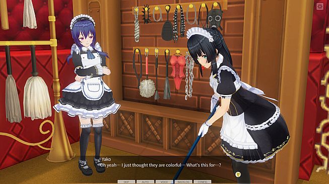 CUSTOM ORDER MAID 3D2 Quiet and love to be pampered, Bookworm GP-01