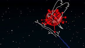 Hidden Shapes Animals - VR