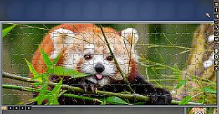 Pixel Puzzles Traditional Jigsaws Pack: Colorful Animals