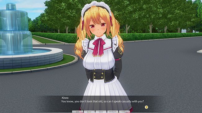 CUSTOM ORDER MAID 3D2 Character EX Pack Gyaru