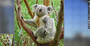 Jigsaw Puzzle Pack - Pixel Puzzles Ultimate: Variety Pack 9