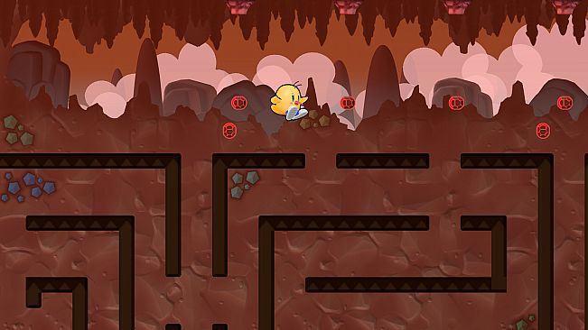 THE NEWZEALAND STORY: Untold Adventure