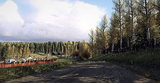 DiRT Rally 2.0 - Finland (Rally Location)