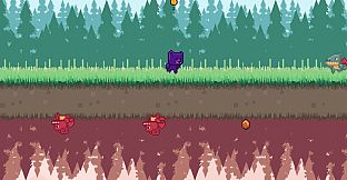 ANIMALITY - Bear Colour Pigments