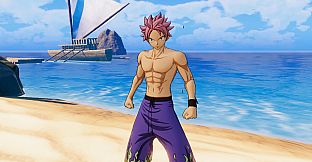 FAIRY TAIL: Natsu's Costume "Special Swimsuit"