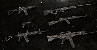Insurgency: Sandstorm - Shell Shock Bundle