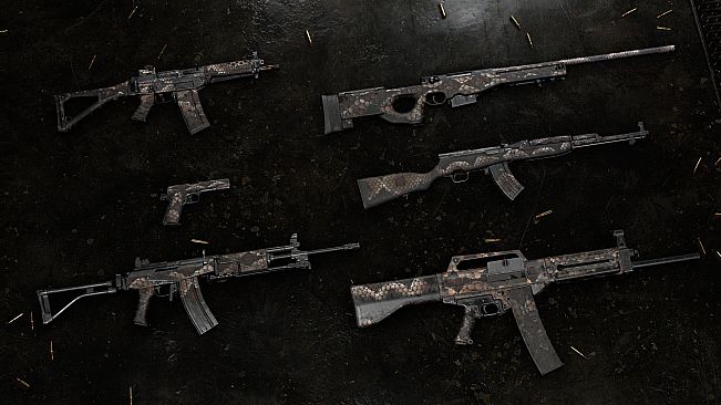 Insurgency: Sandstorm - Shell Shock Bundle