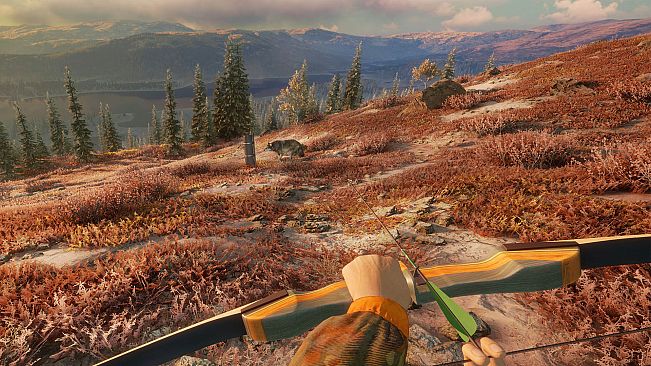 theHunter: Call of the Wild - Game Feeder Pack 2