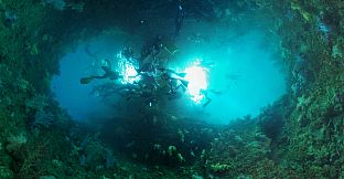 Coral Compass: Fighting Climate Change in Palau