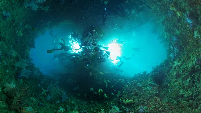 Coral Compass: Fighting Climate Change in Palau