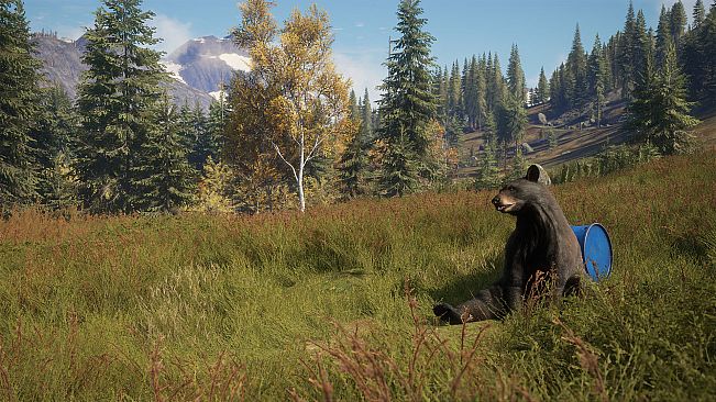 theHunter: Call of the Wild - Game Feeder Pack