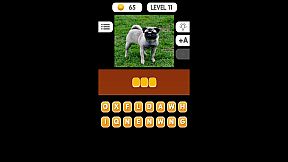 Photo Quiz - Animals